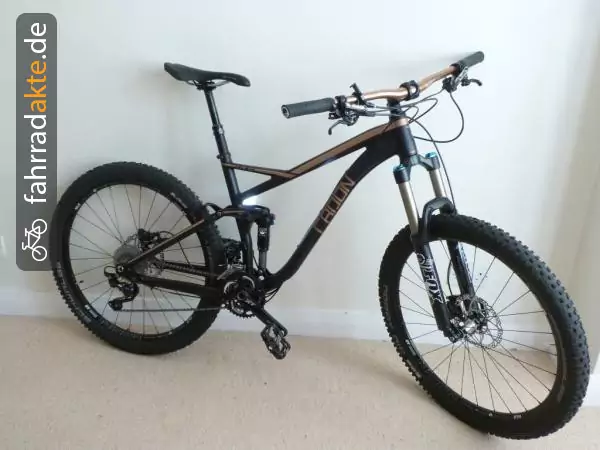 All Mountain Mountainbike, Herrenrad