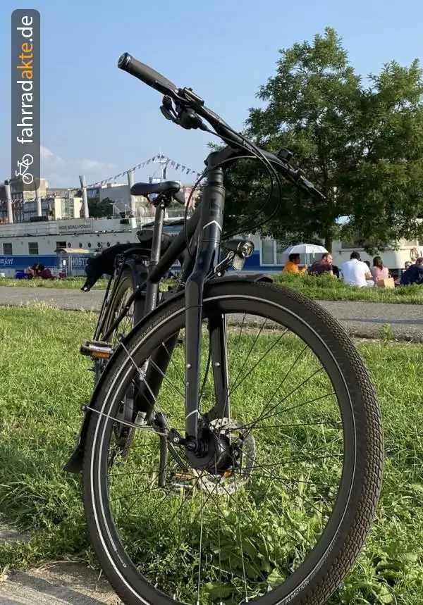 BERGAMONT VITESS N8 BELT  GENT RH 48