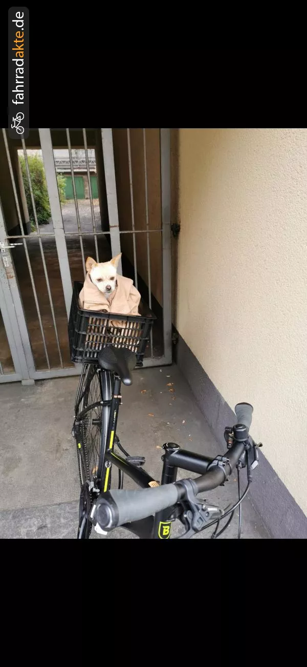 Breezer bike,  (26")Liberty R1. 5 ST