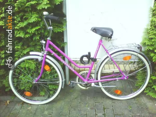 city woman′s bike (26")