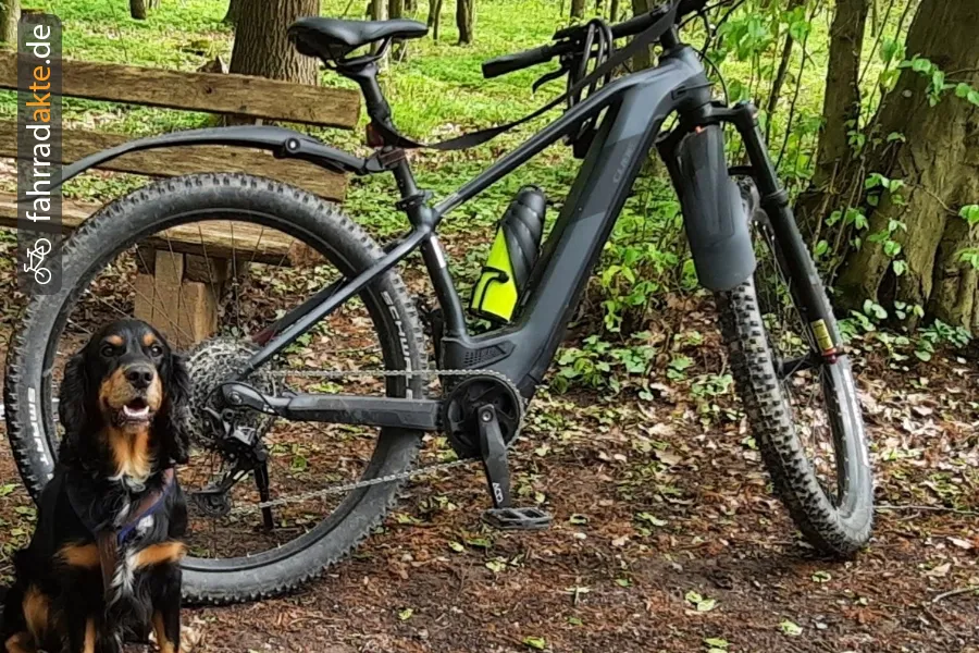 Cube  Access Hybrid EXC 625 / 29"