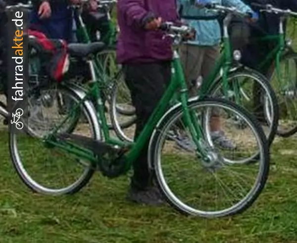 Damen Fahrrad/­54