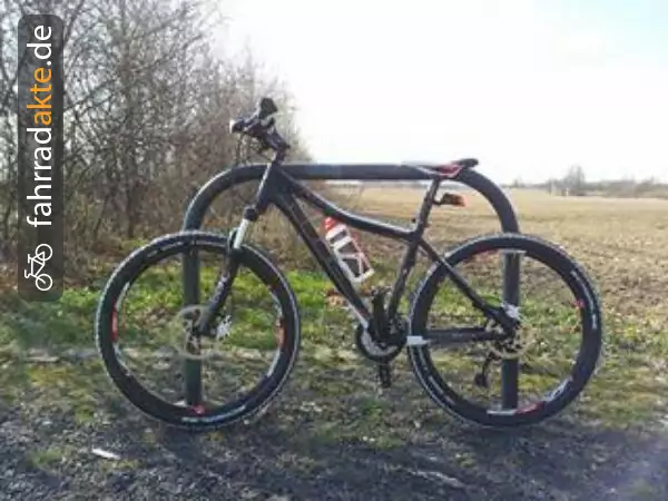 Damen Mountainbike 17"