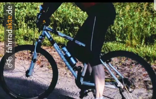 Damen MTB