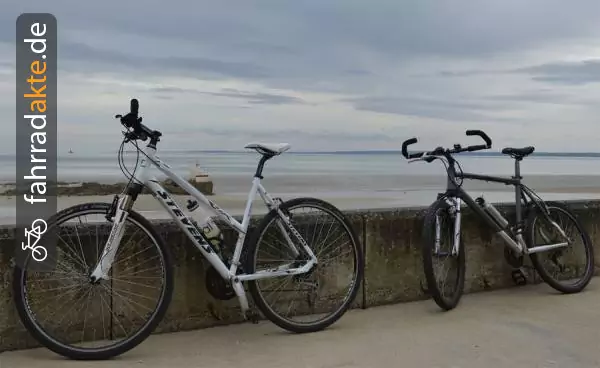 Damen Trekkingrad