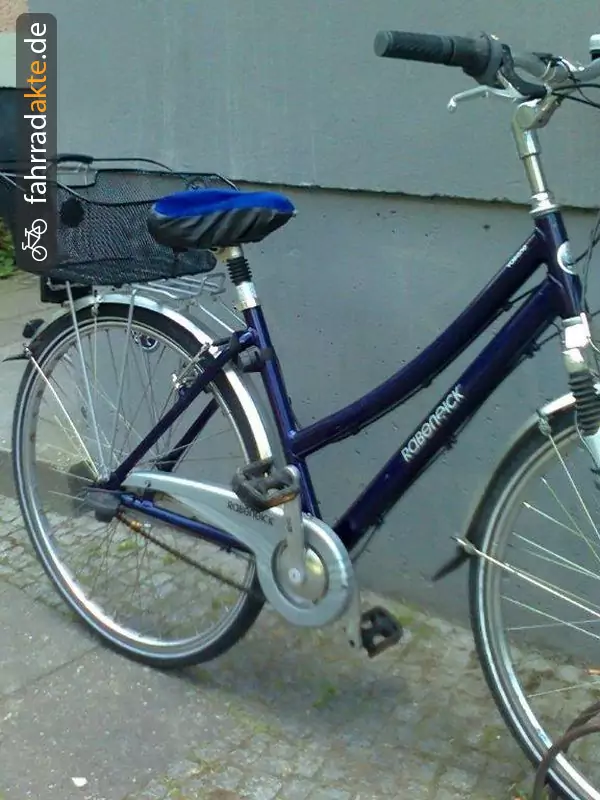 Damencityfahrrad  "Rabeneick"