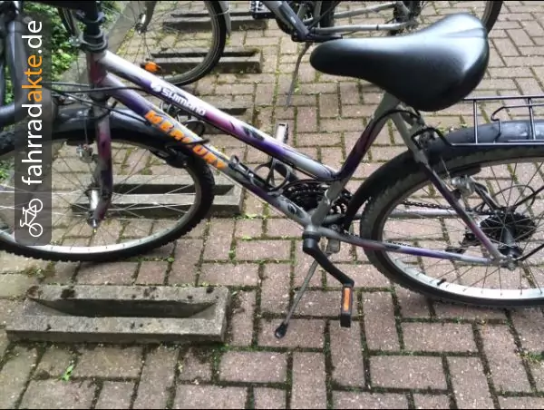 Damenrad 26′′