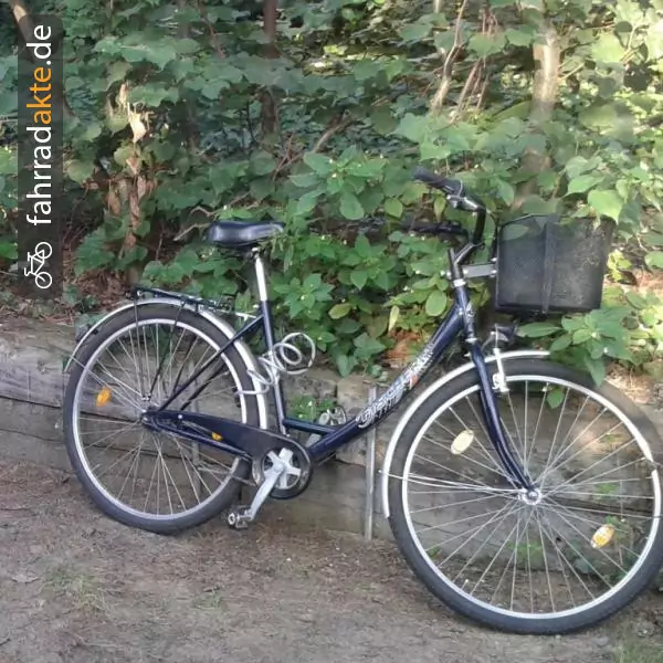 Damenrad (28")