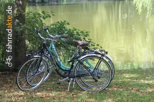 Damenrad 28"