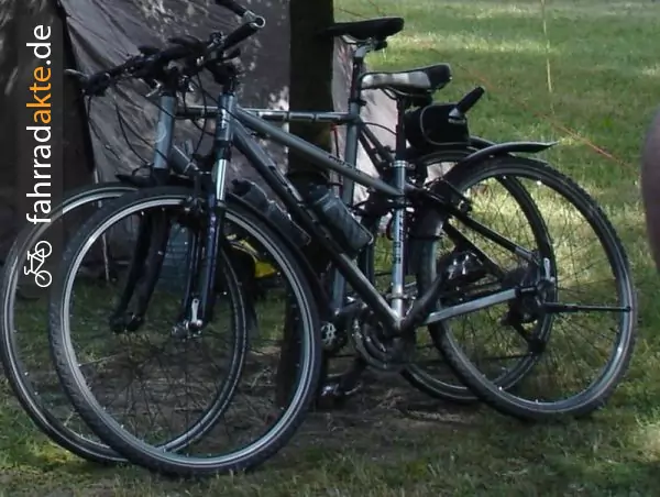 Damenrad (28")