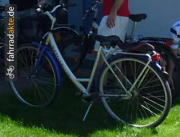 Damenrad 28"