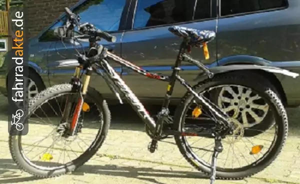 Damenrad MTB (17")