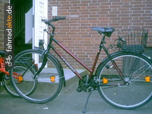 Damenrad Pegasus 28"