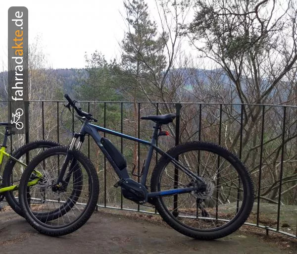 Herren Mountainbike EBike