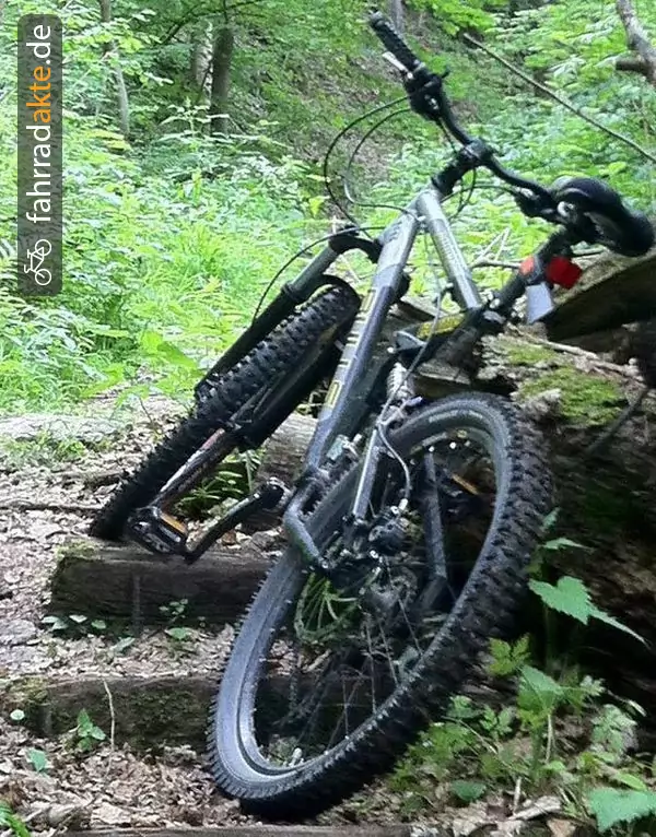 Herrenrad 19" Full Suspension