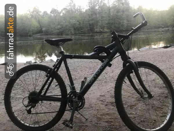 Herrenrad 26 (Mounten bike)