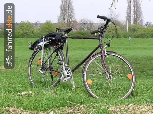 Herrenrad (26")Räder 28′′ Einzelanfert