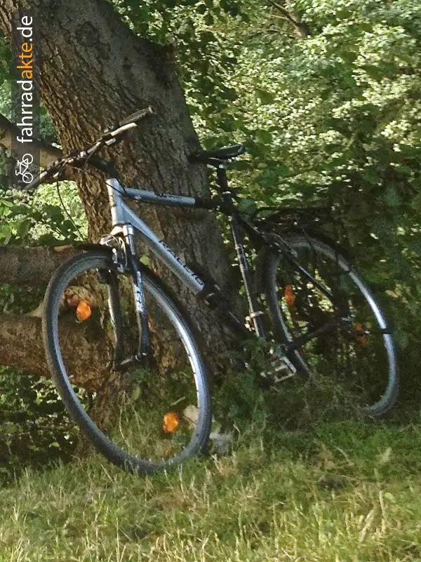 Herrenrad (28") trekking