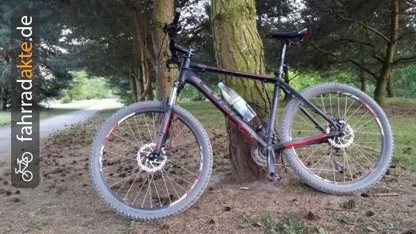 Herrenrad (28")