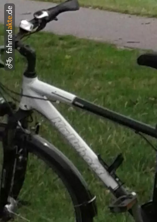 Herrenrad (28")