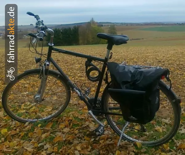 Herrenrad (28")