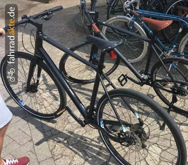 Herrenrad (29")