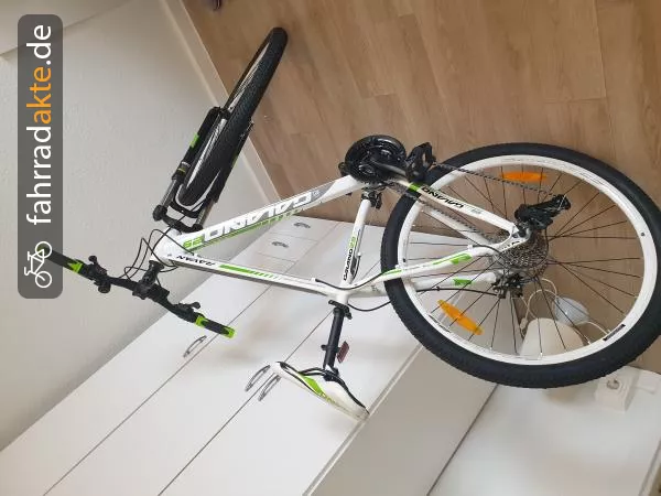 Herrenrad (29)