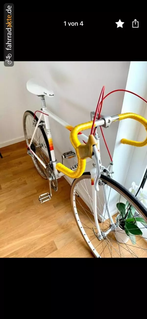 Herrenrad Rennrad RH 54