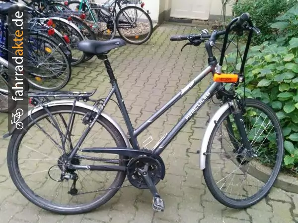 Herrenrad Trecking (27")