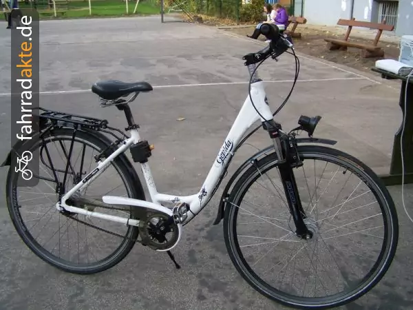 lady city bike (26")