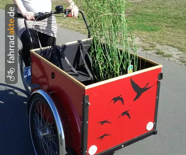 Lastenfahrrad