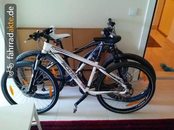 mountain bike (26")