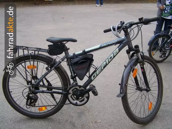 mountain bike (26")