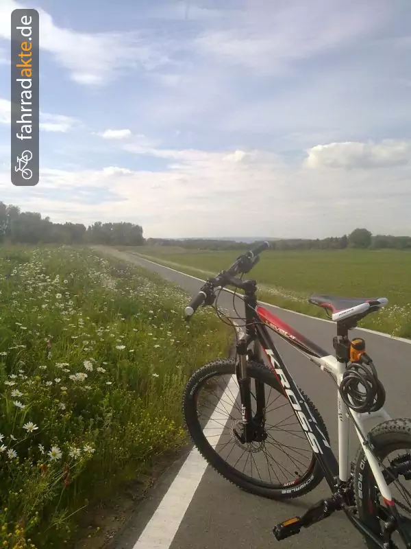 mountain bike (26")