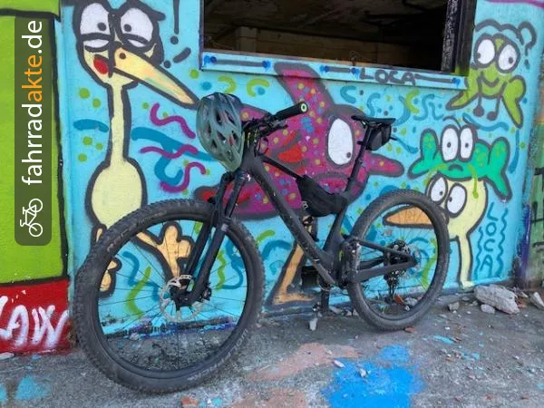 Mountain Bike (Fully) Kategorie: Down Country