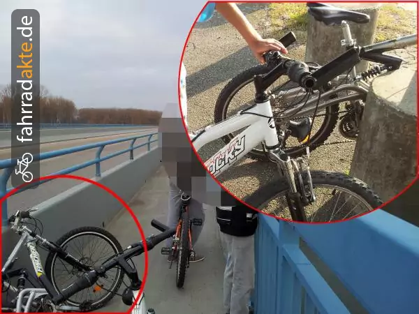 Mountainbike (26")