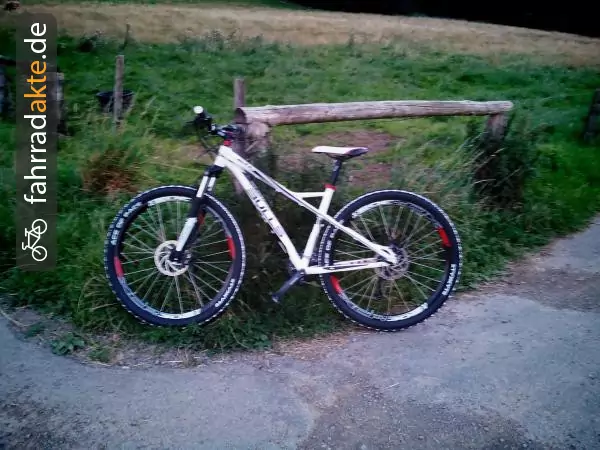 Mountainbike 29"