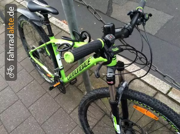 Mountainbike (29′′)
