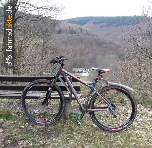 Mountainbike 29"