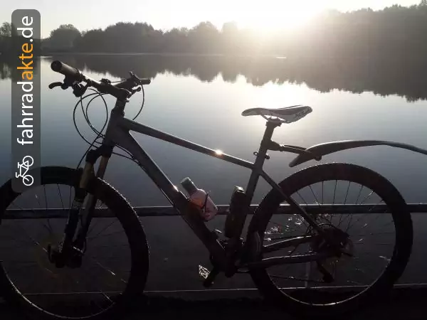 Mountainbike Carver PHT 700 LTD 29"