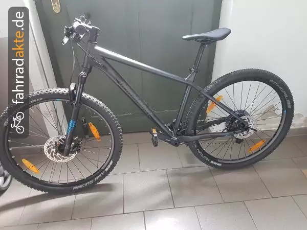 Mountainbike Herren