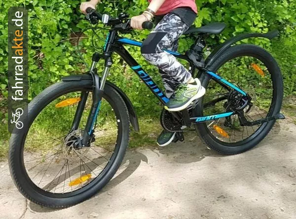 Mountainbike Jugend, 26"  RH38, 5