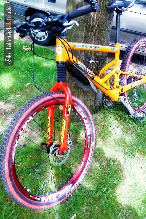 Mountainbike vollgefedert