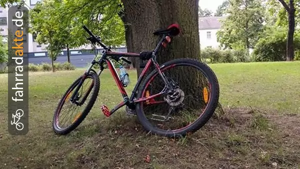 Moutain Bike 29 Zoll