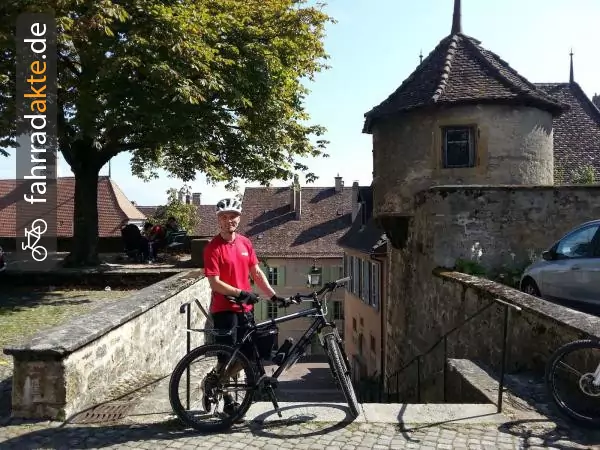 MTB Herren