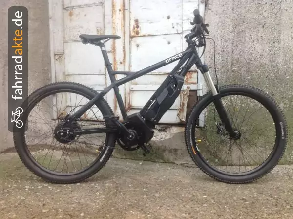 Pedelec Mountainbike