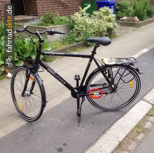 Pegasus Piazza Herrenrad 7 Gang