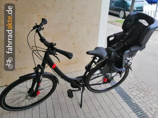 Pegasus Touring Bike 55"