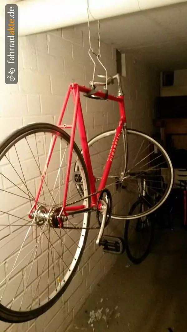 Pinarello Rennrad Fixed Gear 28"