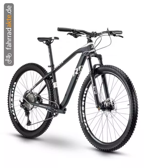 Raymon Hardray Nine 4. 0